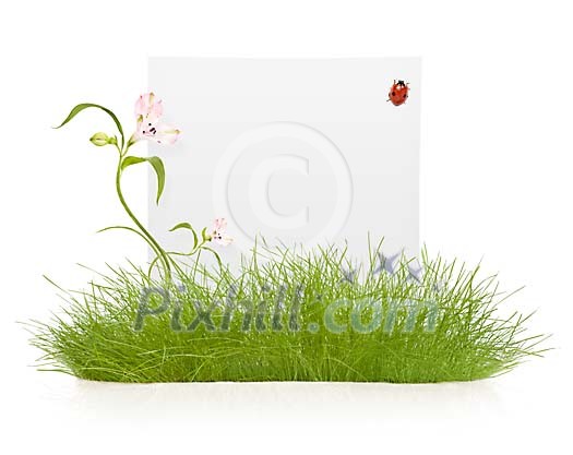 Empty card on the grass island Empty card on the grass island