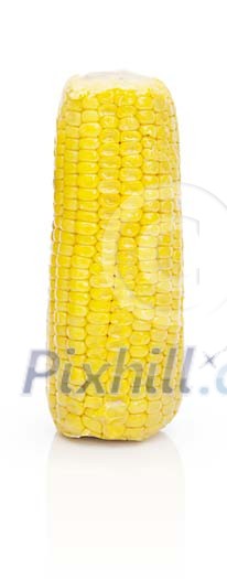 Isolated golden corn Isolated golden corn
