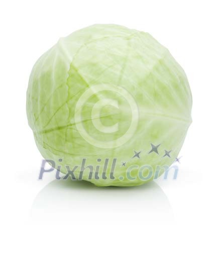 Isolated cabbage Isolated cabbage