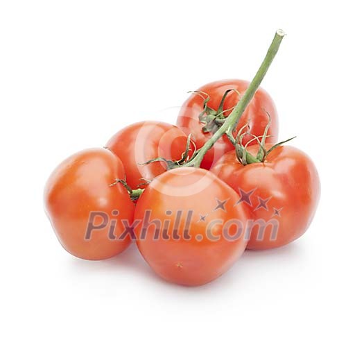 Isolated bunch of tomatoes Isolated bunch of tomatoes