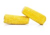 Isolated two pieces of corn