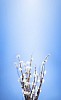 bunch of pyssy willowes on a blue background