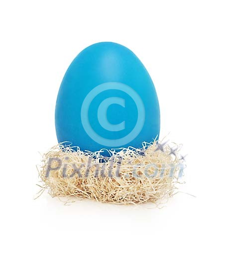 Blue egg on nest with hand made clipping path Blue egg on nest with hand made clipping path