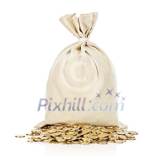 Isolated bag with coins in front of it Isolated bag with coins in front of it