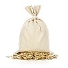Isolated bag with coins in front of it