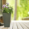 Pretty flowers growing on the porch