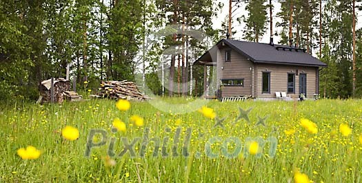 Cottage on a green meadow