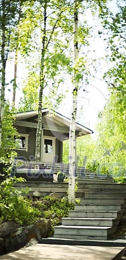 Summer cottage in the green