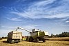 Harvester loading up a truck