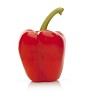 Isolated red paprika