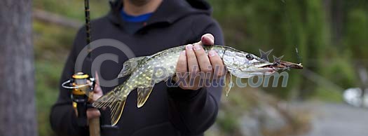 Man holding a pike in his hand Man holding a pike in his hand