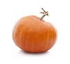Isolated pumpkin