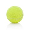 Isolated tennis ball