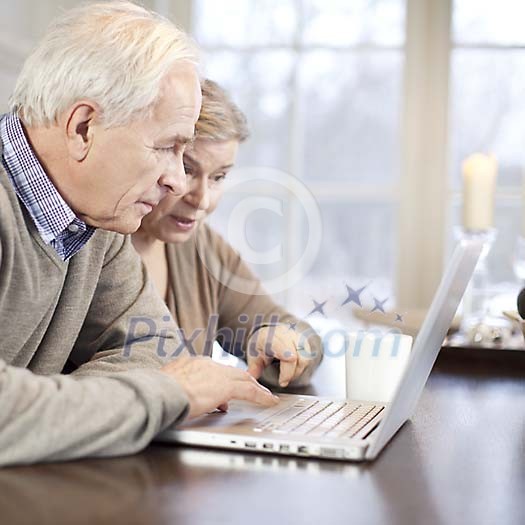 Senior couple using a laptop at home