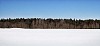 Sunny winter day near the forest