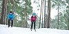 Couple skiing in the forest