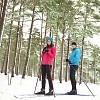 Couple skiing in the forest