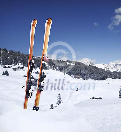 Skis in the snow