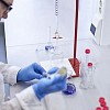 Male assistant in the laboratory