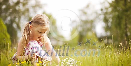 Small girl collecting flowers on a summery meadow Small girl collecting flowers on a summery meadow