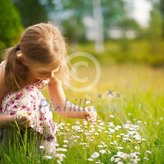 Girl picking flowers