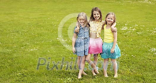 Three little friends together on a summery field Three little friends together on a summery field