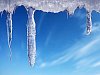 Vegetable looking icicles hanging from the roof