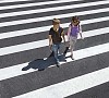 Children walking on the crosswalk