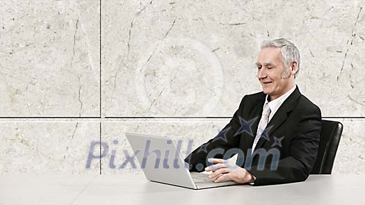 Senior businessman by laptop Senior businessman by laptop