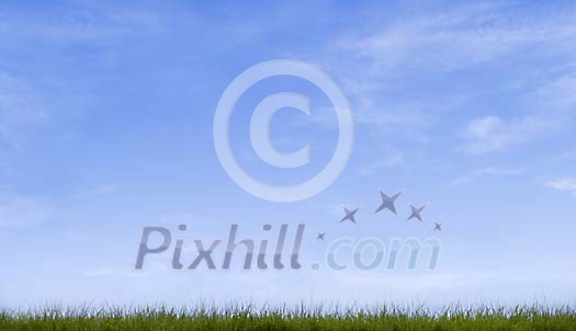 Green grass and empty blue sky Green grass and empty blue sky