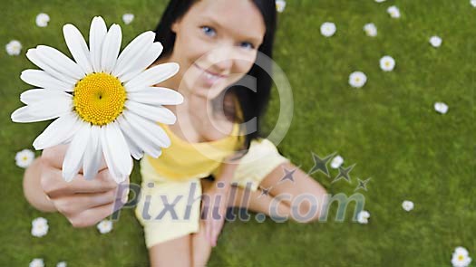 Girl handing a daisy up to camera Girl handing a daisy up to camera