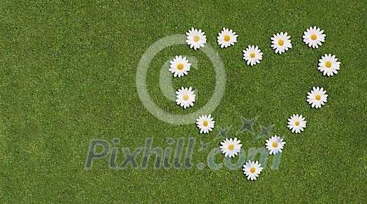 Heart from daisies on grass Heart from daisies on grass