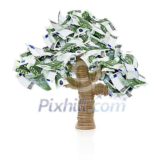 Money tree made from coins and Euro bills (clipping path included) Money tree made from coins and Euro bills (clipping path included)