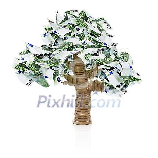 Money tree made from coins and Euro bills (clipping path included)