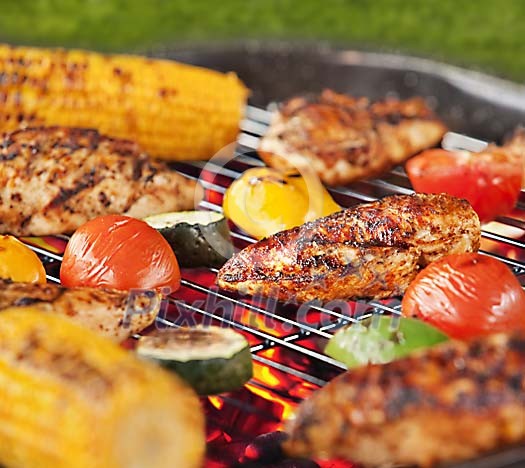 Chicken Fillet and vegetables in grill