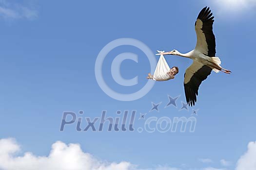 Flying stork carrying a newborn baby to his new parents