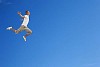 Man jumping against a blue sky