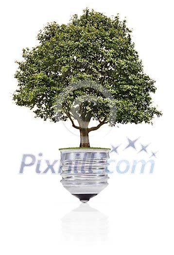 Green lamp bulb with a tree Green lamp bulb with a tree