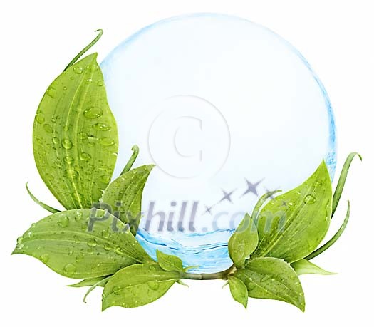 Sensitive nature conceptual Sensitive nature conceptual