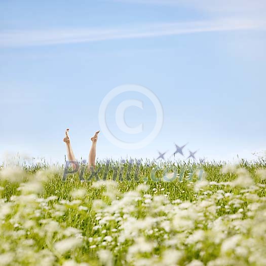 Legs in the grass