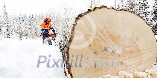 Man working as a lumberjack Man working as a lumberjack