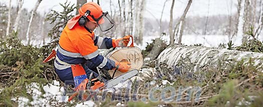 Man marking the logs Man marking the logs
