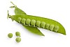 Pea pod with peas