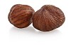 Hazelnut closeup