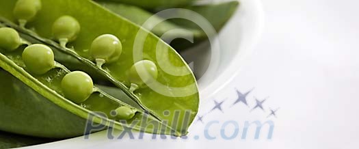 Pea pod closeup