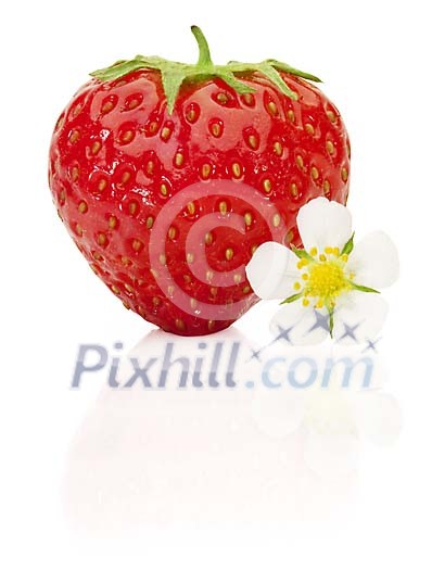 Strawberry and flower with clipping path