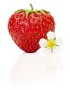 Strawberry and flower with clipping path