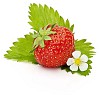 Fresh Strawberry on green leaves