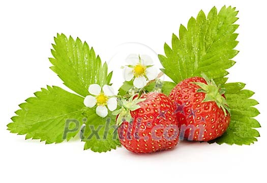 Strawberries with green leaves and flowers