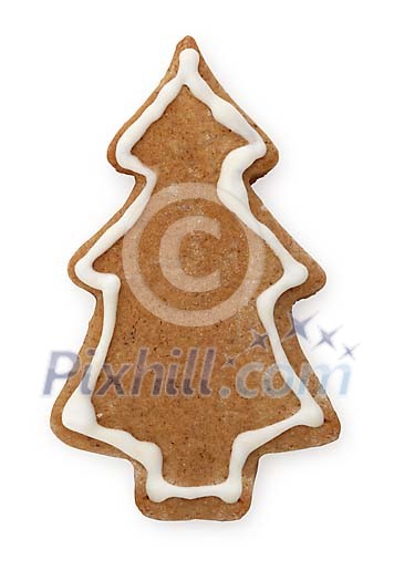 Clipped gingerbread fir Clipped gingerbread fir